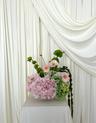 Signature Bloom | Blush