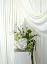 Signature Bloom | Ivory
